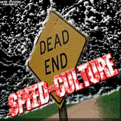 Speed Culture