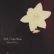 Fall / Like Rain - Single