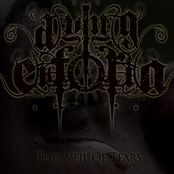 This Veil Of Tears