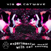 Catwave [Experimental Music with Cat Sounds]