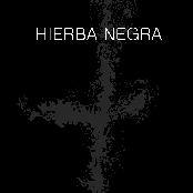 hierba negra