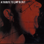 A Tribute To Limp Bizkit