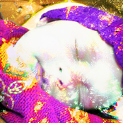 Music That Puts My Baby To Sleep