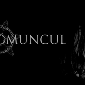 homuncul