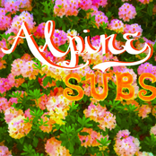 Alpine Subs