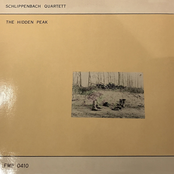 The Hidden Peak