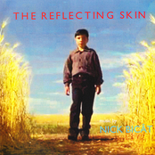 the reflecting skin