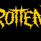 rotten