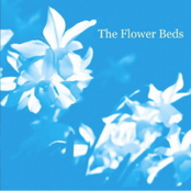 Summer Rain (Coming Down) single