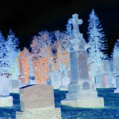 Collective Subconcious