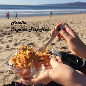 Organic Trip-Hop
