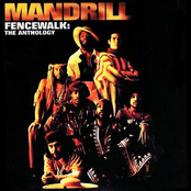 mandrill is