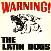 Killed In Jail by The Latin Dogs