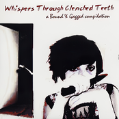 Whispers Through Clenched Teeth: A Bound & Gagged Compilation