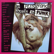 Les Plus Grands Succès du Punk