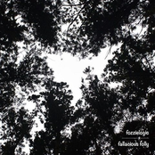 Fallacious Folly
