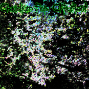 Gaudium For APatient