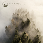 Through the Softest Veil