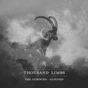 The Aurochs - Aligned