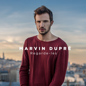 Regarde-les