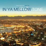 IN YA MELLOW TONE 8.5