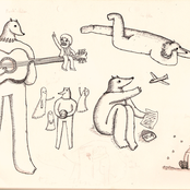 Proyecto Lupacchiotto