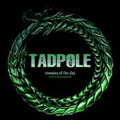 Remains Of The Day (Rarities and Antiquities)