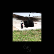 this place could be beautiful, right? you could make this place beautiful.