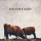 Settle Down by Kim Curly Band