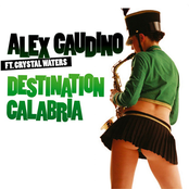 album