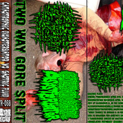 Gastric Fluid / Catastrophic Disasterbator