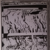 Leathered / Acrid Starfield