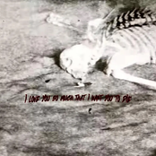 i love you so much that i want you to die