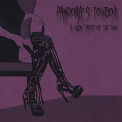 A Quick Taste of the Box