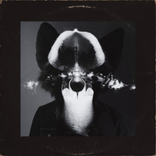 Orchid, or "How to Bloom in Total Darkness"