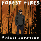 Forest Fires