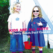 New Story by Sandy Beach Surf Coaster