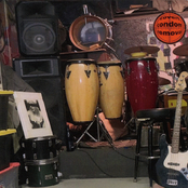 Covert Condom Removal