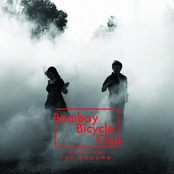 Curl Up Like A Dead Leaf And Go Where The Wind Blows by Bombay Bicycle Club