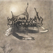 Live in Swansea / Rehearsal 2016