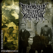 Necrophiliac Decomposition