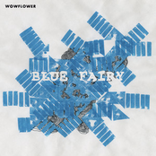 blue fairy