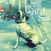 Too Late To Turn Back by The Cruel Sea