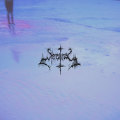 the one thing you don’t understand about me i need to be surrounded by unusual things