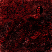 Whore Gushing Brutality