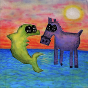 Eighty Million Shiny Stones To Share With The World