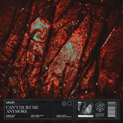 Can't Hurt Me Anymore