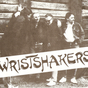 wristshakers