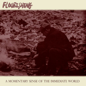 A Momentary Sense Of The Immediate World (EP)