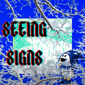 Seeing Signs
